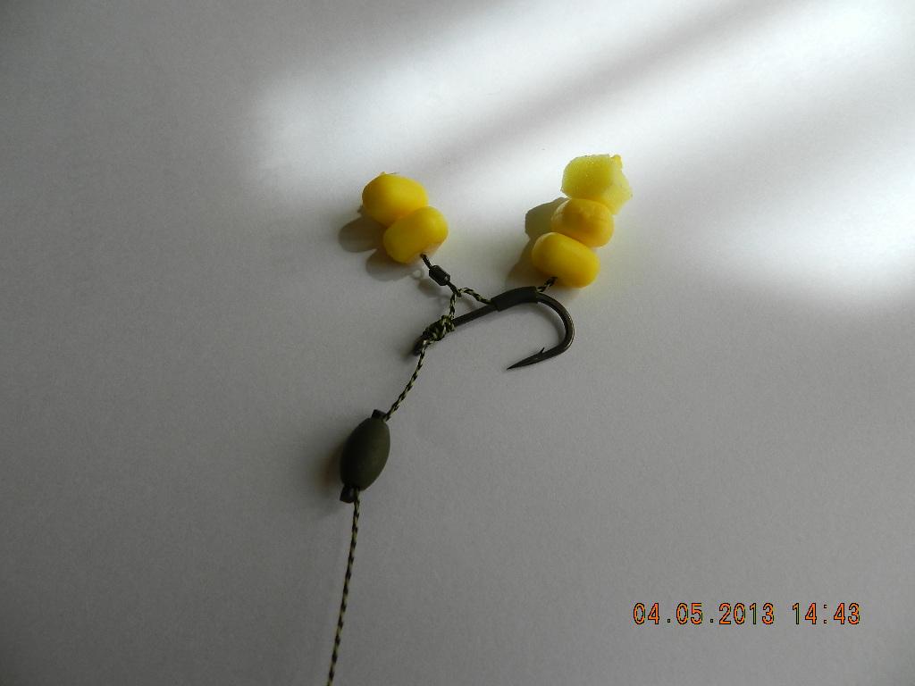 rig& baits !! - dscn1334.JPG